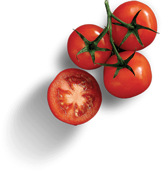 img-potato